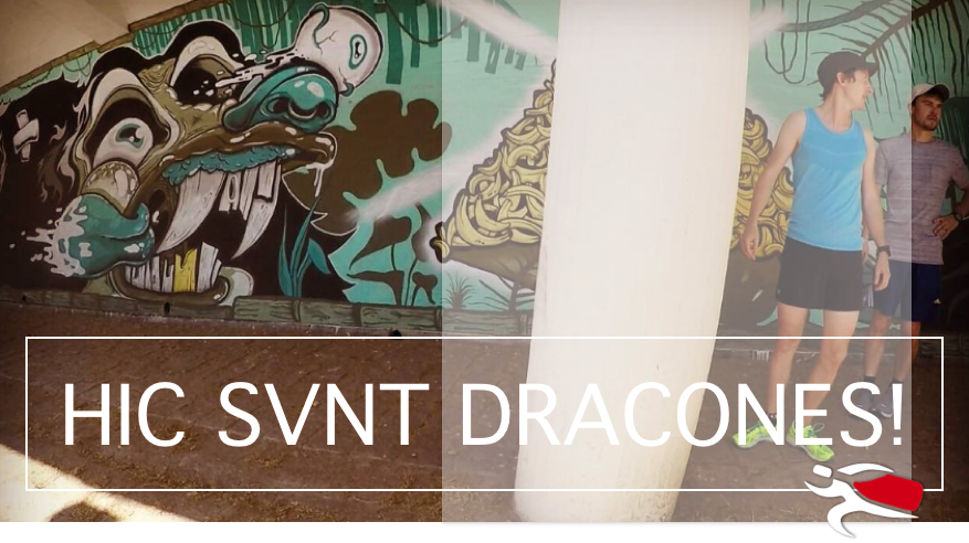 Here be dragons - why are there so many dragons in Porto? 